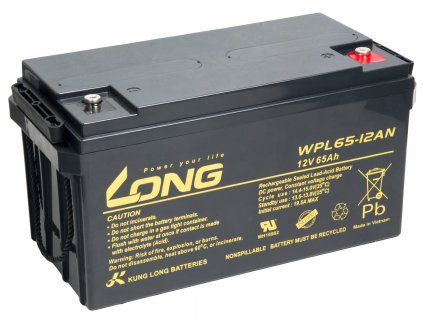 LONG baterie 12V 65Ah M6 LongLife 12 let (WPL65-12AN) (PBLO-12V065-F8AL)