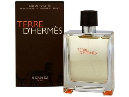 Hermes Terre d'Hermes EdT 100ml (3346131400003)