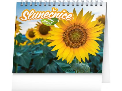 Stolní kalendář Slunečnice, s citáty 2024, 16,5 × 13 cm (PGS-32578)