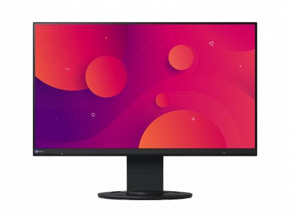 EIZO EV2460 černý 24" (EV2460-BK)