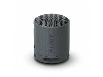 Sony Sony SRS-XB100, černá (SRSXB100B.CE7)