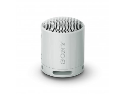 Sony Sony SRS-XB100, šedá (SRSXB100H.CE7)