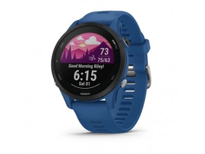 Garmin Forerunner 255 Tidal Blue (010-02641-11)