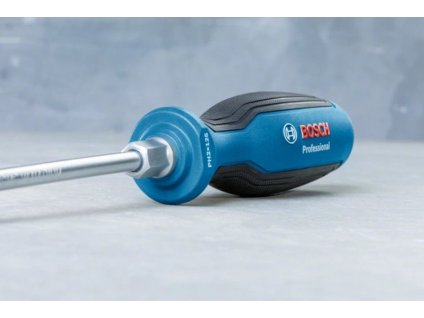 Bosch Šroubovák SD SL4.5x100mm (1.600.A01.TF9) (1.600.A01.TF9)