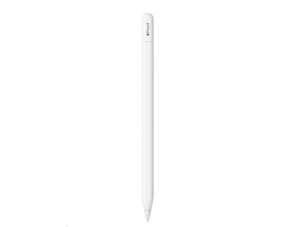 Apple Pencil (USB-C) (MUWA3ZM/A)