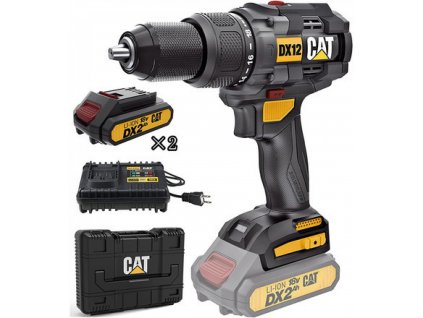 CAT DX12 (DX12)