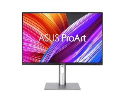 ASUS ProArt PA248CRV (90LM05K0-B01K70)