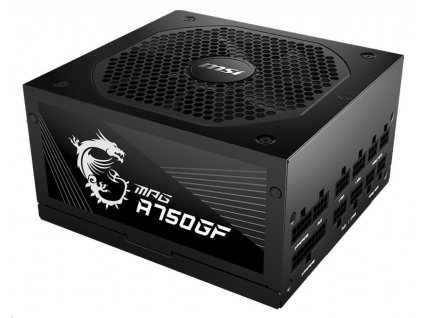 MSI MPG A750GF 750W (MPG A750GF)