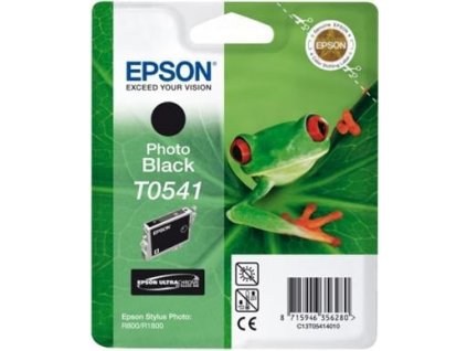 Epson T0541 Photo Black 13ml pro Stylus Photo R800/R1800 - originální (C13T05414010)