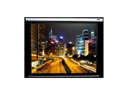 ELITE SCREENS Electric100V (Electric100V)