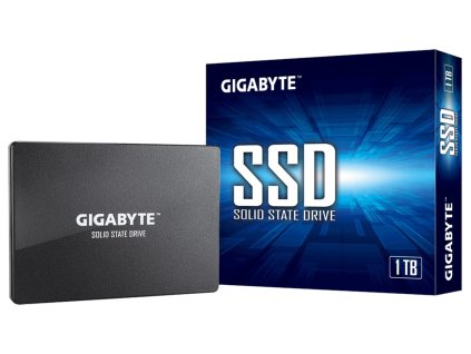 GIGABYTE SSD 1TB (GP-GSTFS31100TNTD)