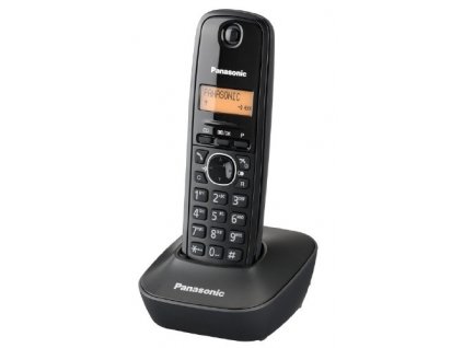 Panasonic KX-TG1611FXH (KX-TG1611FXH)