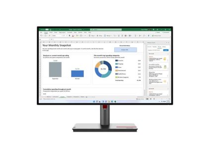 Lenovo ThinkVision P24Q-30 (63B4GAT6EU) (63B4GAT6EU)