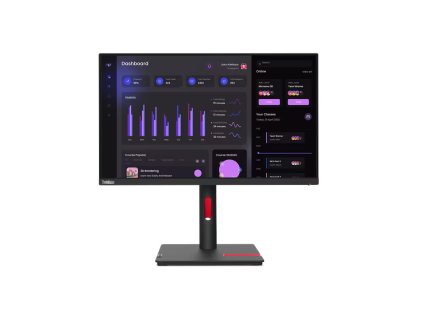 Lenovo ThinkVision T24i-30  23,8" (63CFMATXEU)