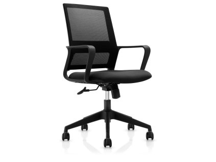 Connect IT ForHealth AlfaPro kancelářská židle, černá (COC-1020-BK)