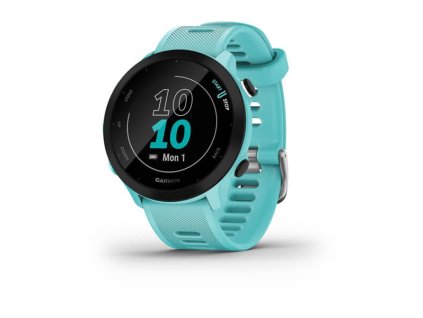 Garmin Forerunner 55, Aqua (010-02562-12)