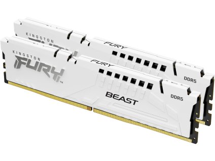 Kingston Fury Beast DDR5 64GB 6400MHz EXPO bílá (Kit 2x32GB) (KF564C32BWEK2-64)