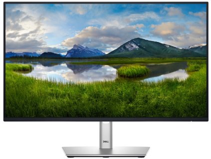 DELL P2425H Professional (210-BMFF) (210-BMFF)