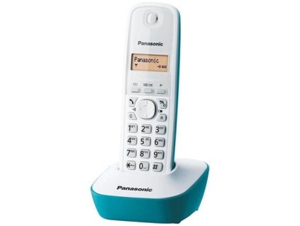 Panasonic KX-TG1611 (KX-TG1611FXC)