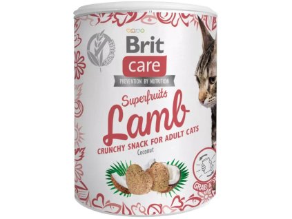 Brit Care Cat Snack Superfruits Lamb 100g pamlsky pro kočky (8595602555697)