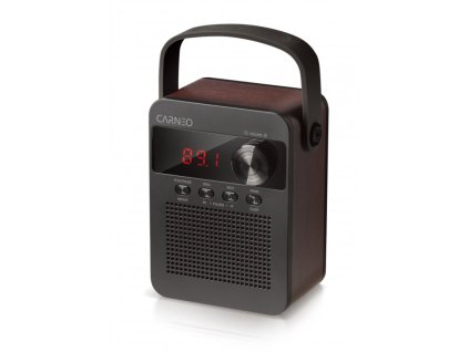 CARNEO F90 FM rádio, BT reproduktor, black/wood (8588007861890)