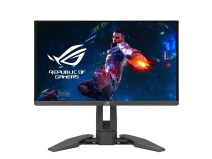 ASUS ROG Swift Pro PG248QP (90LM08T0-B01370)