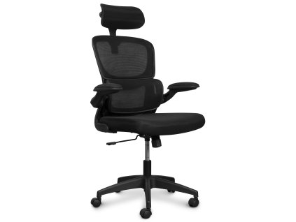 CONNECT IT FOR HEALTH DeltaPro kancelářská židle, černá (COC-2500-BK)