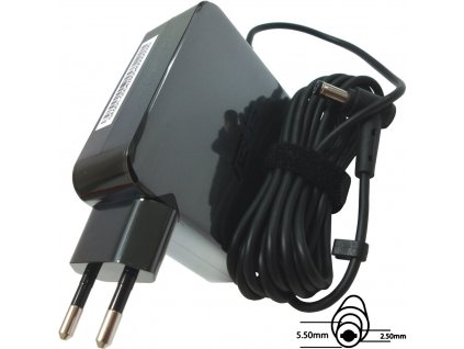 Asus orig. adaptér 65W19V 2P W/O CORE s EU plugem (B0A001-00042800)