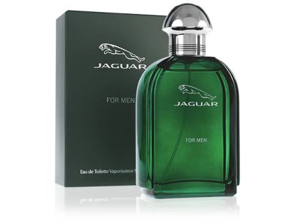 jaguar for men edt 100ml ien355502