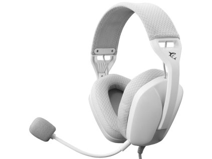 white shark sparrow bily ien566377