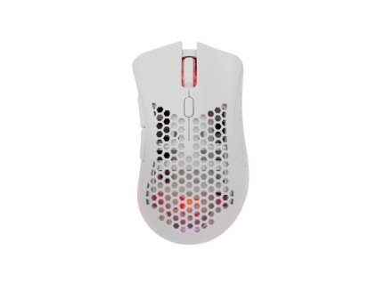 white shark lionel bila ien566287