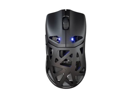 white shark dagonet cerna ien566304