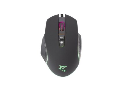 white shark gareth cerna ien566314