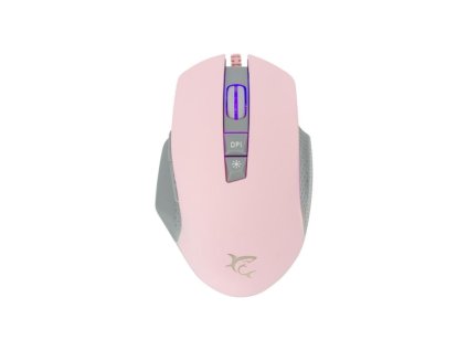 white shark gareth ruzova ien566315