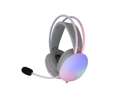 white shark firefly bily ien566362