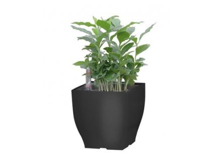 Samozavlažovací květináč G21 Cube mini černý 13.5 cm