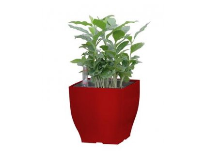 Samozavlažovací květináč G21 Cube mini červený 13.5 cm