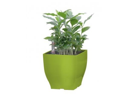 Samozavlažovací květináč G21 Cube mini zelený 13.5 cm