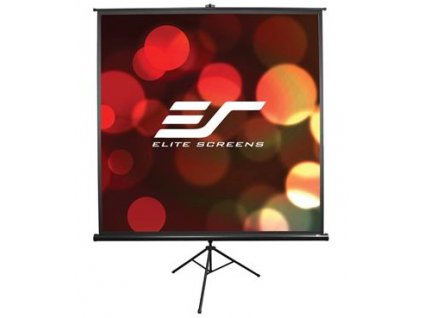 ELITE SCREENS T113UWS1