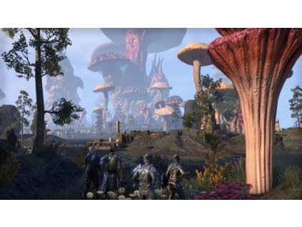 PC The Elder Scrolls Online: Morrowind