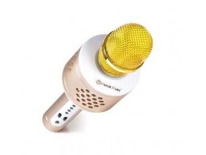 Technaxx BT-X35 PRO Bluetooth karaoke mikrofon, zlato-stříbrná
