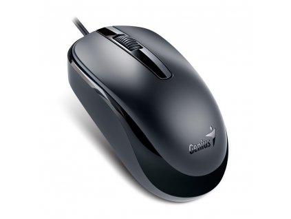 Genius DX-120, černá (31010105106)