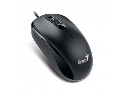 Genius DX-110 černá (31010116108)