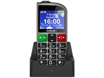 EVOLVEO EASYPHONE FM stříbrný (EP-800-FMS)