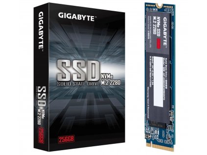 GIGABYTE NVMe SSD 256GB