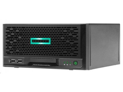 HPE ProLiant MicroServer Gen10 Plus (P16005-421)