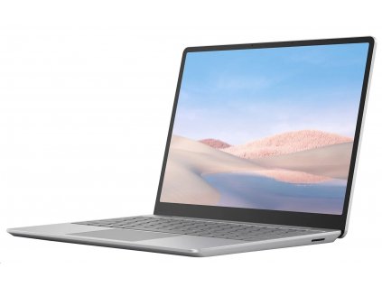 Microsoft Surface Laptop Go - Platinum (THJ-00046)