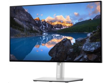 DELL UltraSharp U2422HE (210-AYUL) (210-AYUL)