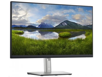 DELL Professional P2422H (210-AZYX) (210-AZYX)