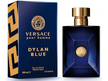Versace Pour Homme Dylan Blue EdT 100ml - TESTER